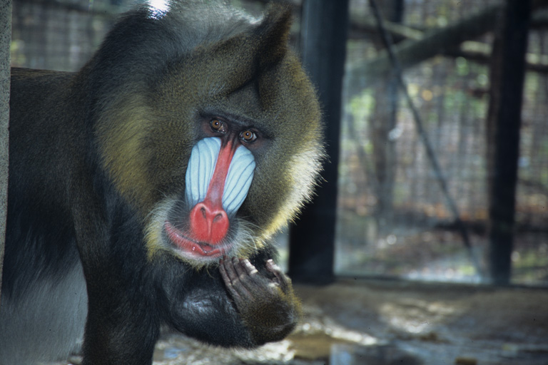 Milwaukee County Zoo