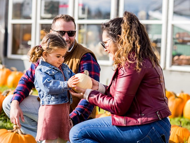 Taste Fall Flavors at Wisconsin’s Harvest Festivals
