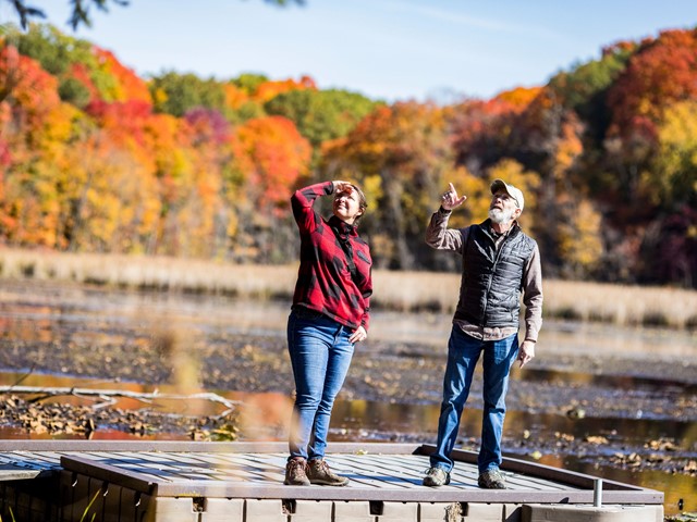 4 Remote Wisconsin Cabins Perfect for Stargazing