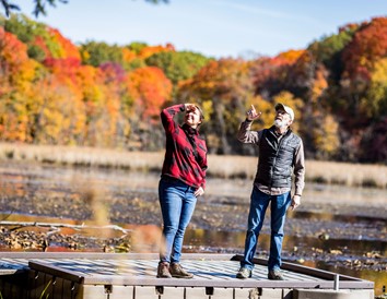 4 Remote Wisconsin Cabins Perfect for Stargazing