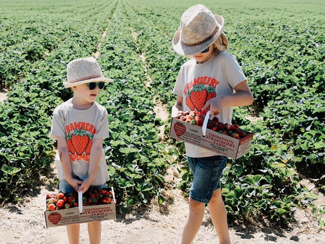 10 Pick-Your-Own Fruit Farms in Wisconsin