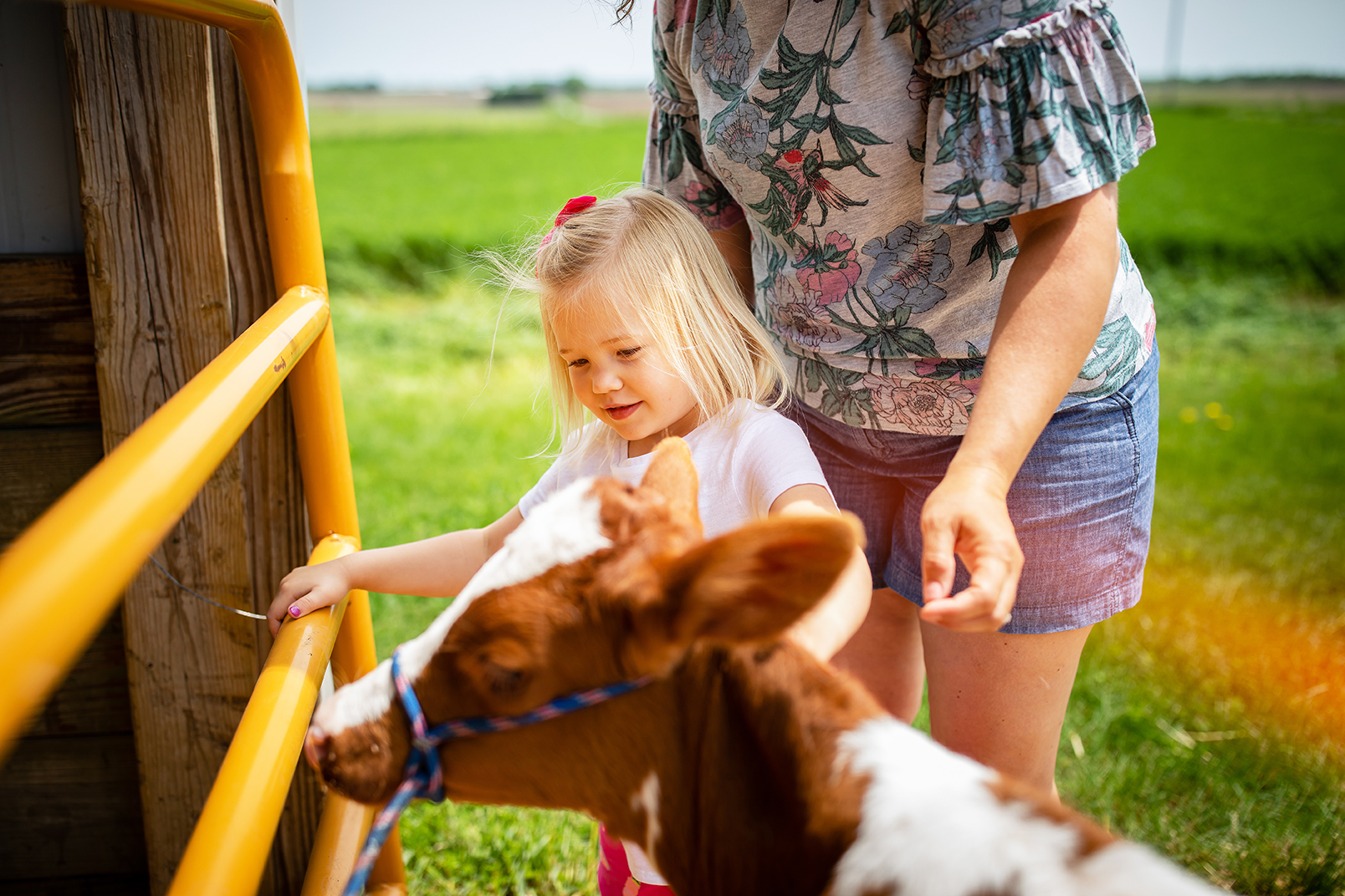 Find Breakfast on the Farm in Wisconsin Travel Wisconsin