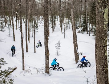 Ride Year-Round: Fat Tire Biking in Wisconsin