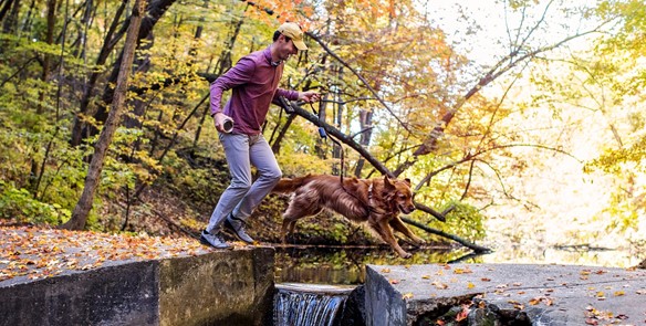 5 Fall Hikes Perfect for Your Pup