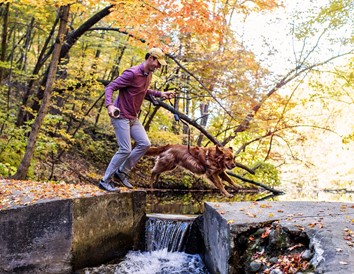 5 Fall Hikes Perfect for Your Pup