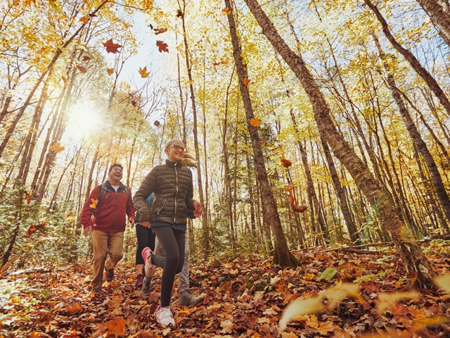 Hidden Gems: 12 Wisconsin State Parks Perfect for Exploring