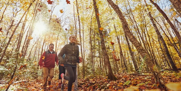 Hidden Gems: 12 Wisconsin State Parks Perfect for Exploring