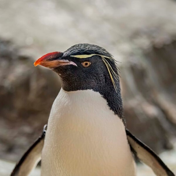 Family Free Day at the Milwaukee County Zoo - 11/2/24