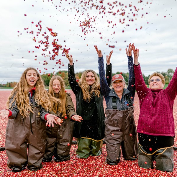 Cranberry Harvest Experience