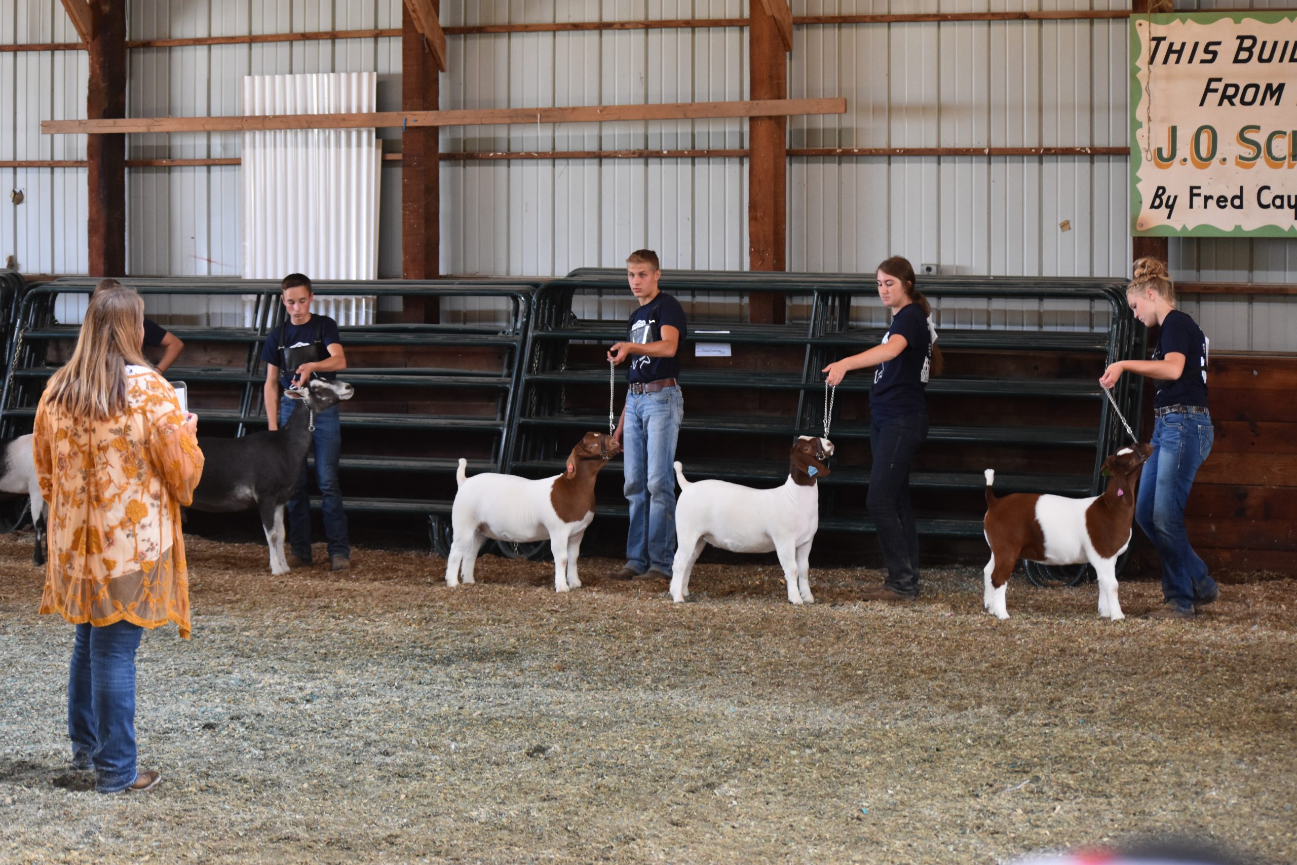 Iowa County Fair Travel Wisconsin