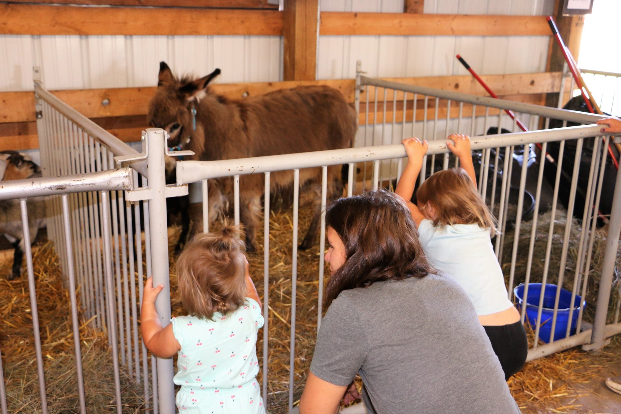 Eau Claire County Fair Travel Wisconsin