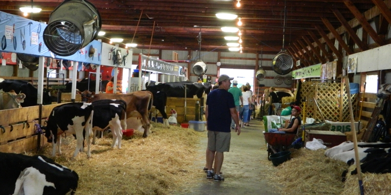 Waushara County Fair | Travel Wisconsin