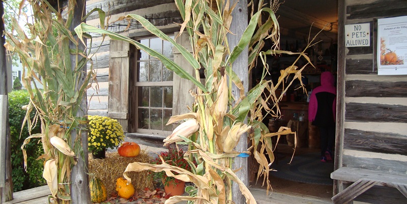 Autumn Farm Days at Pioneer Village | Travel Wisconsin