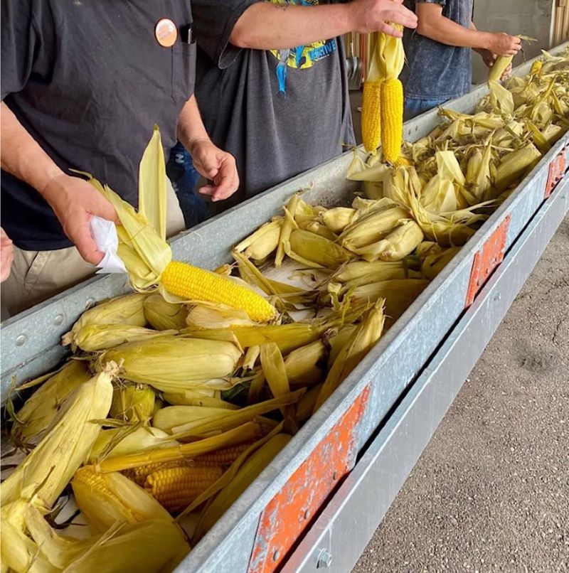 Loyal Corn Festival Travel Wisconsin