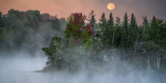 Setting Moon-foggy lake, photo by Suzanne Von Schroeder