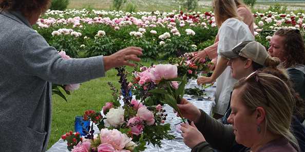 Wisconsin Arts & Peony Festival | Travel Wisconsin