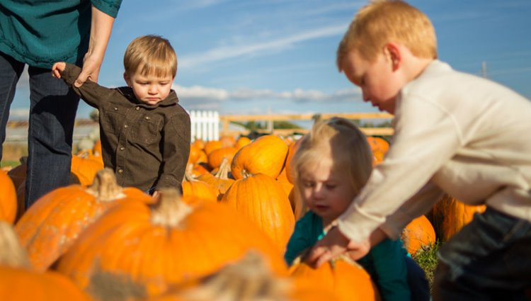 Kids in Pumpkin Patch