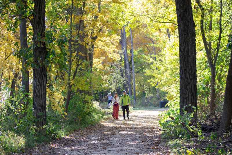 mounds in madison