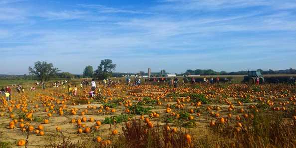 Eugster S Farm Market And Petting Farm Travel Wisconsin