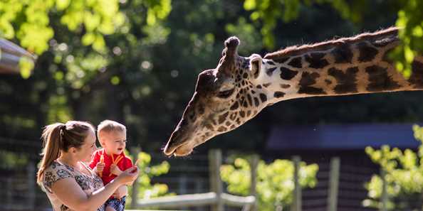 Timbavati Wildlife Park | Travel Wisconsin