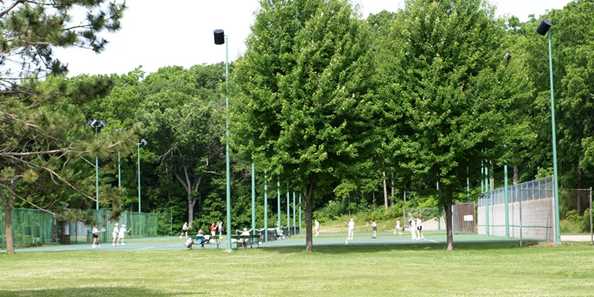 are dogs allowed in janesville parks