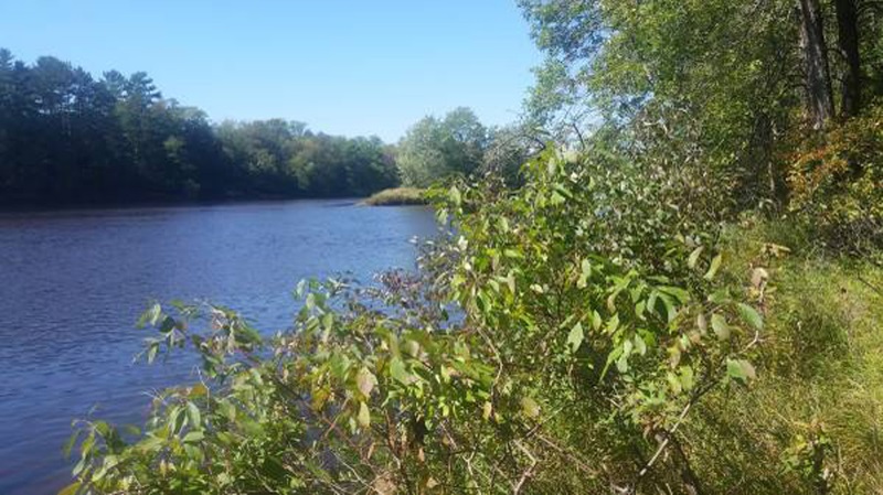 Chippewa River Camping Travel Wisconsin