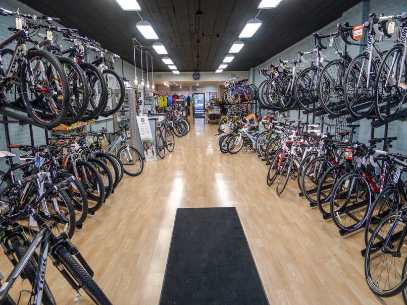 The best sale lions cyclery