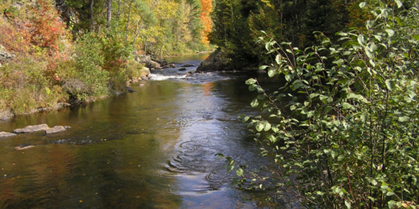 Pike Wild River Travel Wisconsin