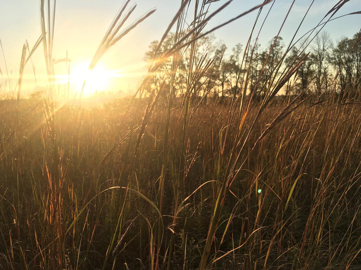 Eldorado Marsh Wildlife Area | Travel Wisconsin