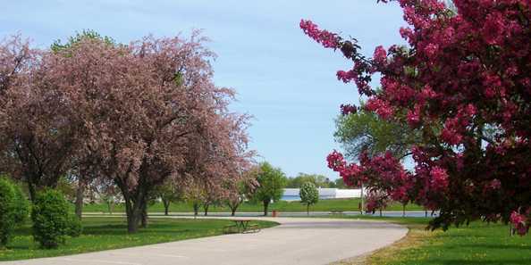 are dogs allowed in janesville parks