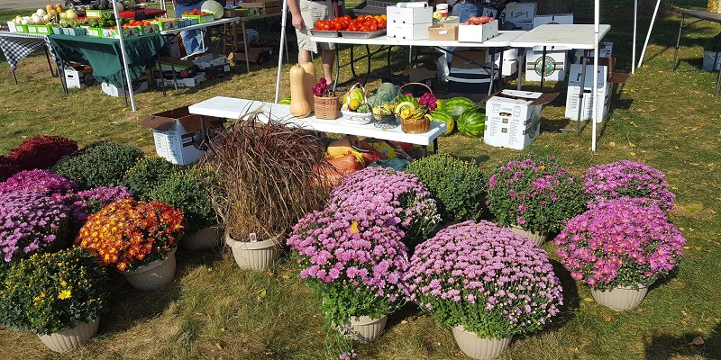 https://www.travelwisconsin.com/uploads/places/76/760ba758-2402-4802-8e8a-460b8b941085-reedsburgfarmersmarket2.jpg