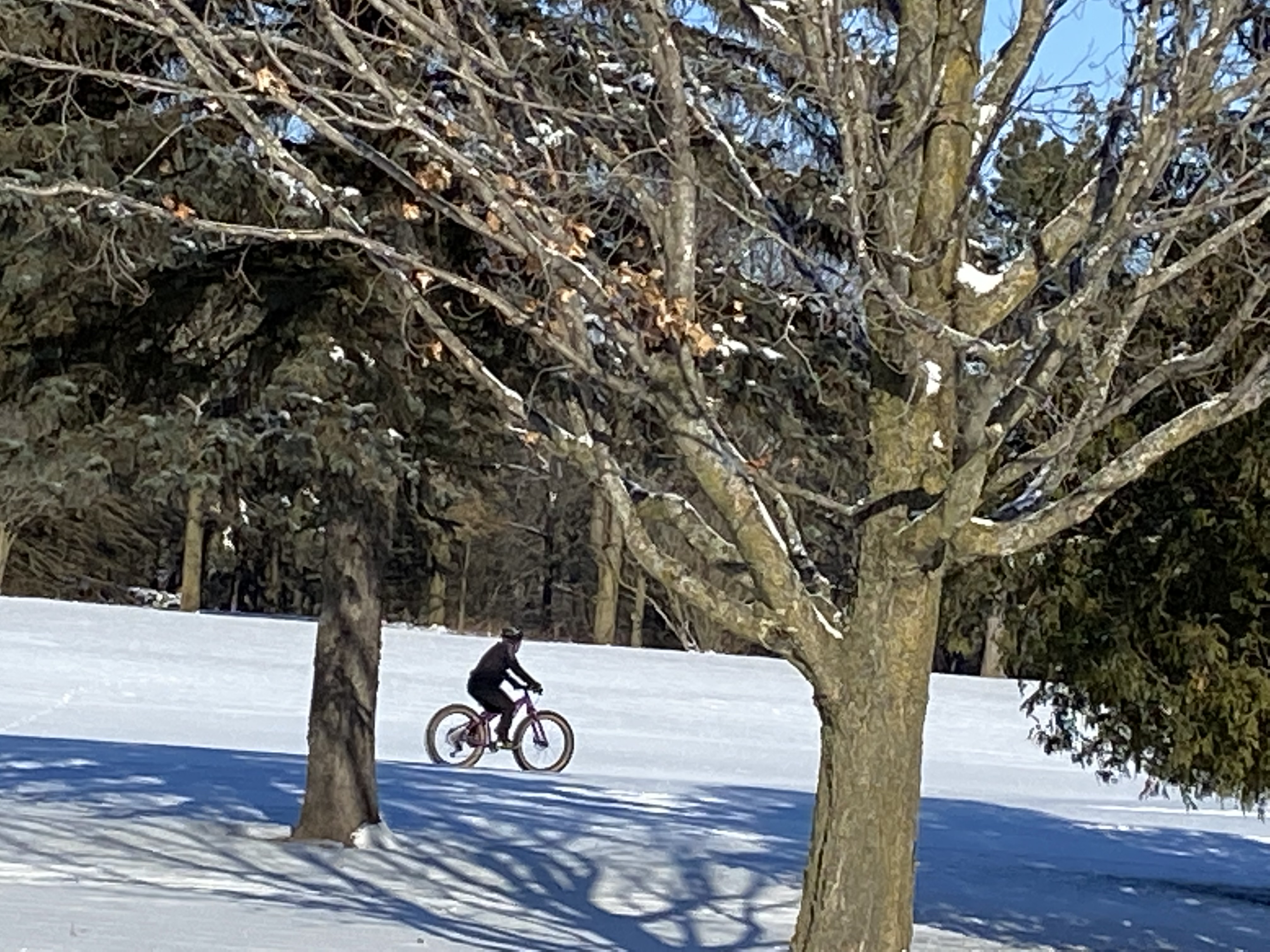 Hilly Haven Golf Course Travel Wisconsin