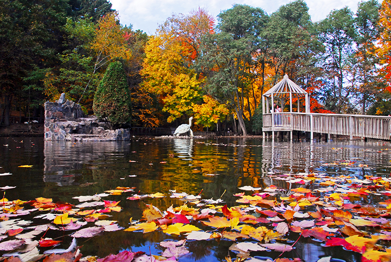 Irvine Park and Zoo Travel Wisconsin