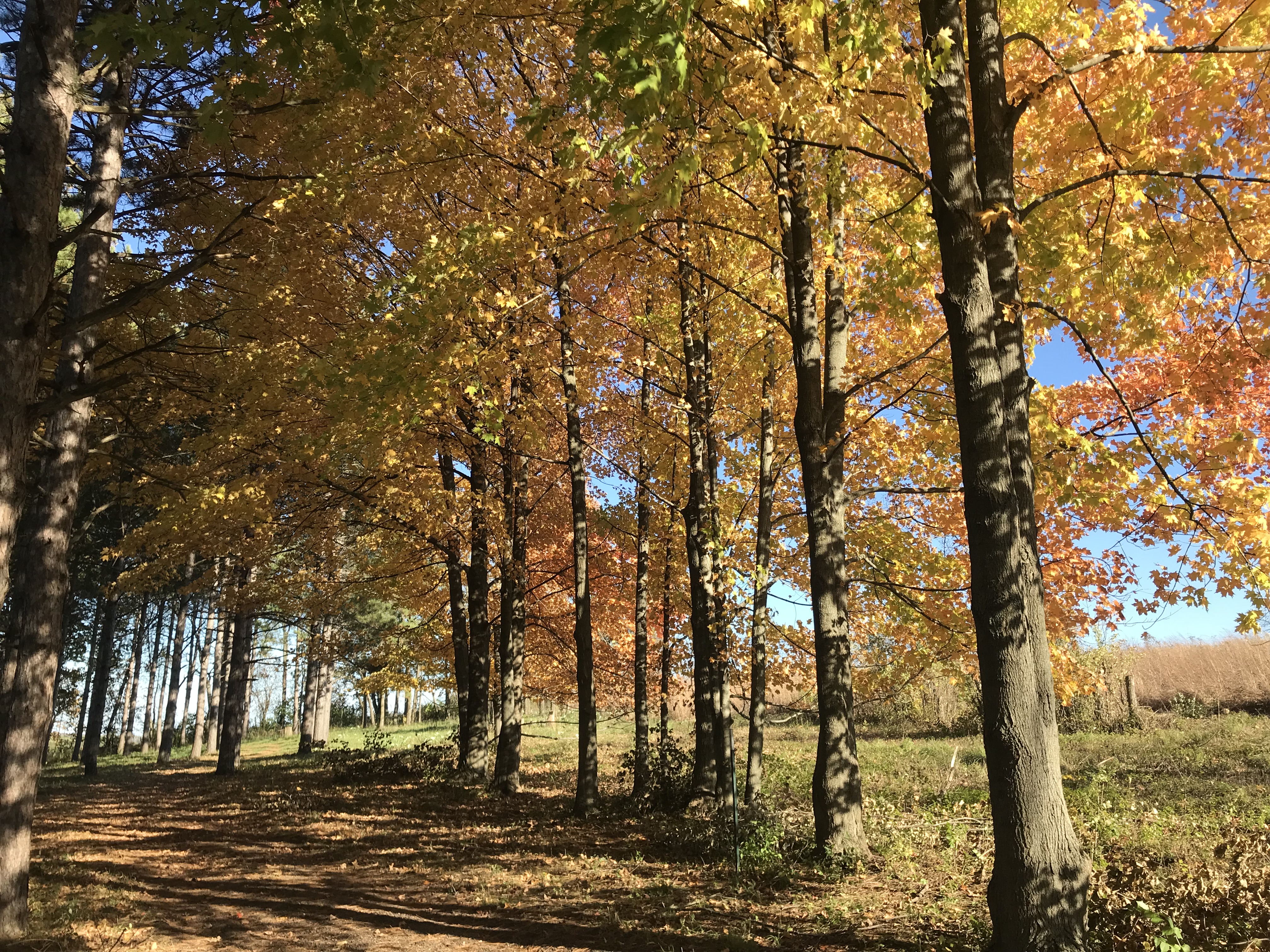 Retzer Nature Center Travel Wisconsin