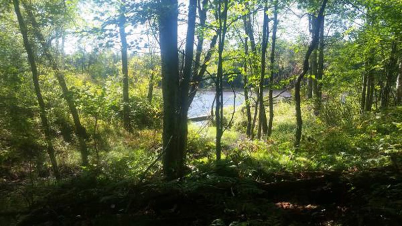 Chippewa River Camping Travel Wisconsin