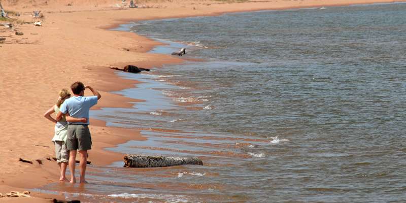 are dogs allowed on apostle islands