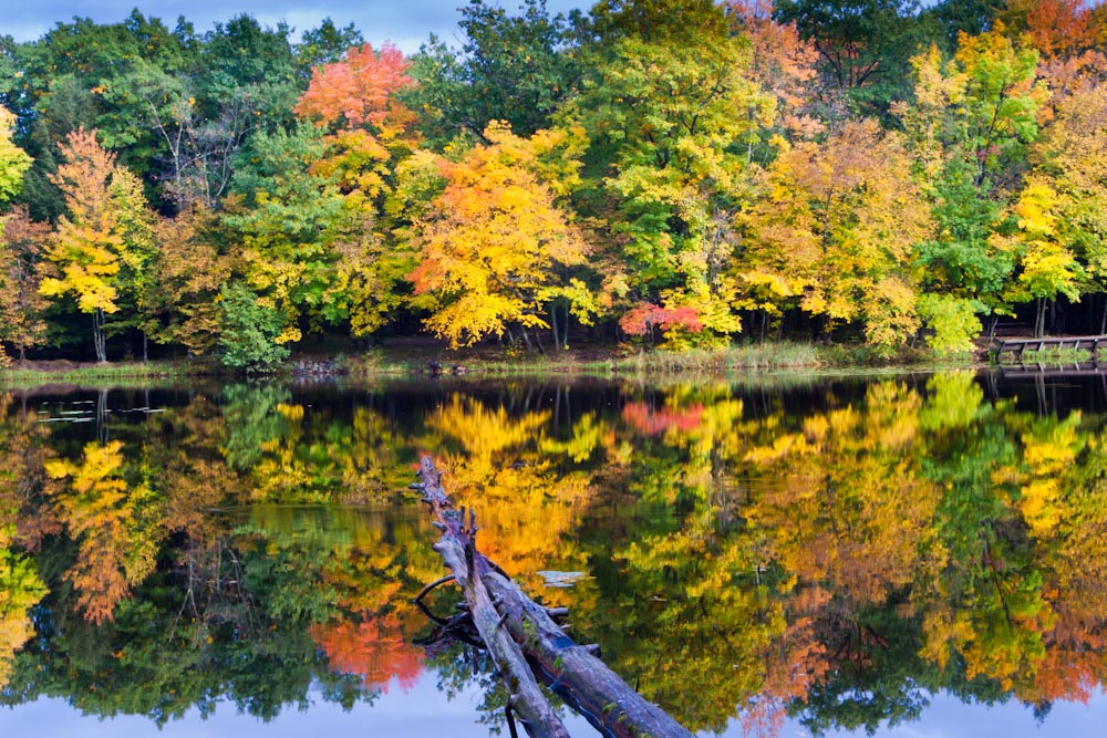 Brunet Island State Park Map Brunet Island State Park | Travel Wisconsin