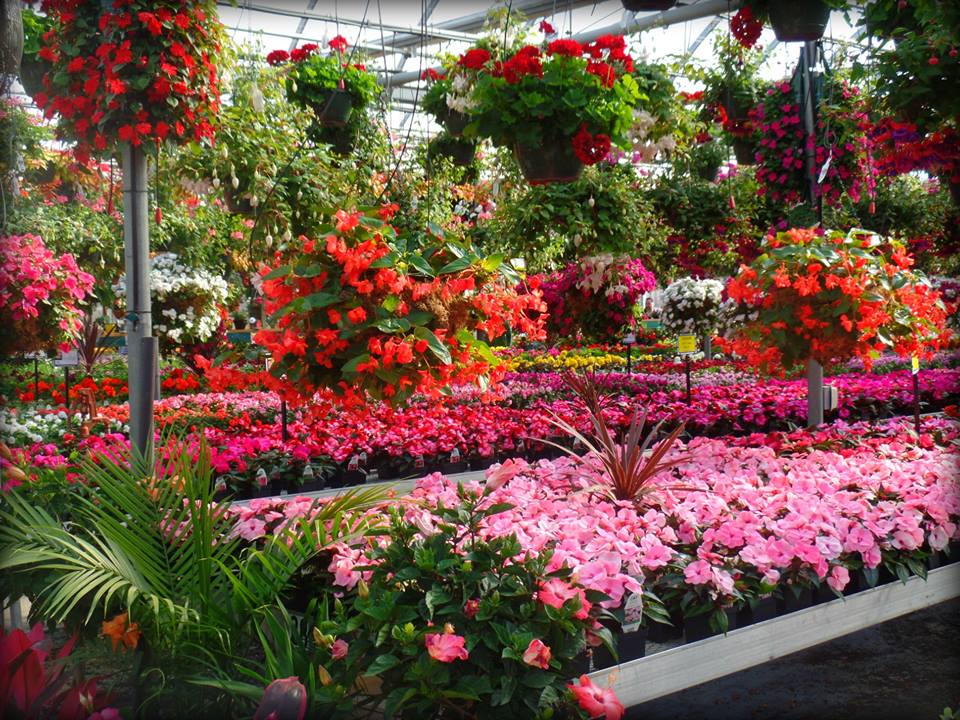 Ebert's Greenhouse Village | Travel Wisconsin