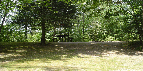 Camp New Wood County Park | Travel Wisconsin