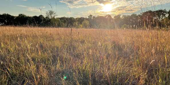 Nine Mile Island State Natural Area | Travel Wisconsin