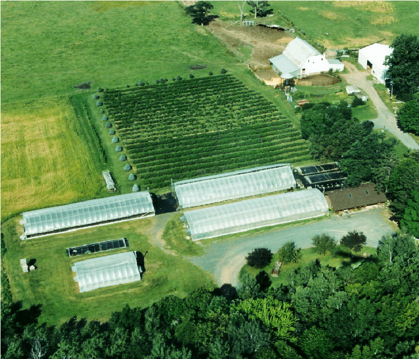 Bashaw Valley Farm and Greenhouse | Travel Wisconsin