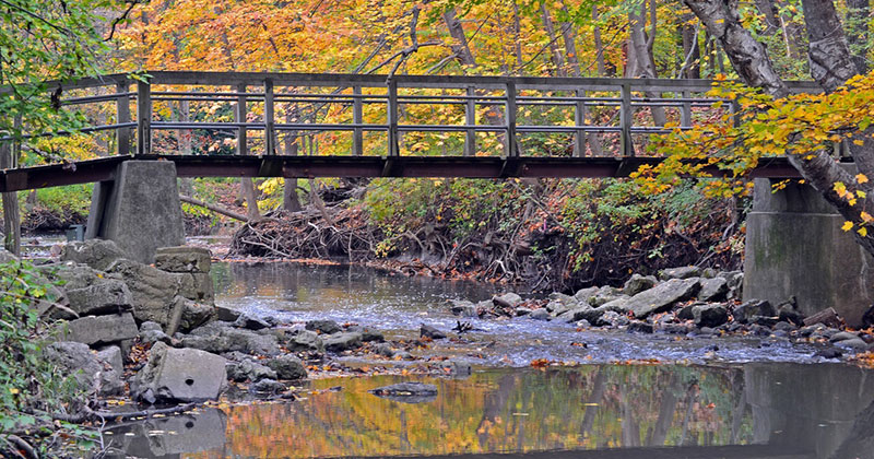 Petrifying Springs Park | Travel Wisconsin