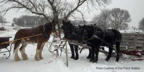 Dan Patch Stables | Travel Wisconsin