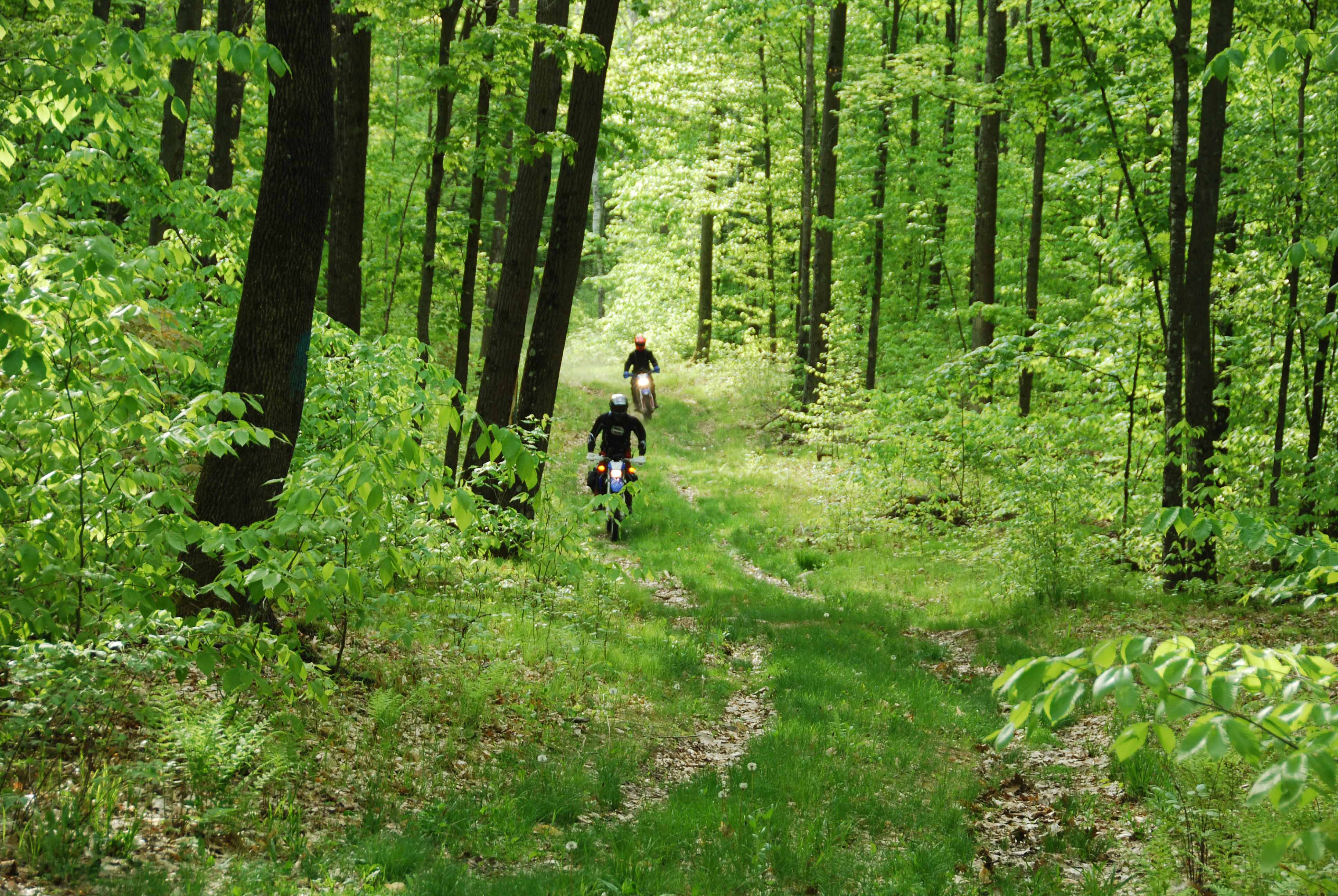 Water Street Welcomes Walking-Loop Wanderers in Catskill, NY