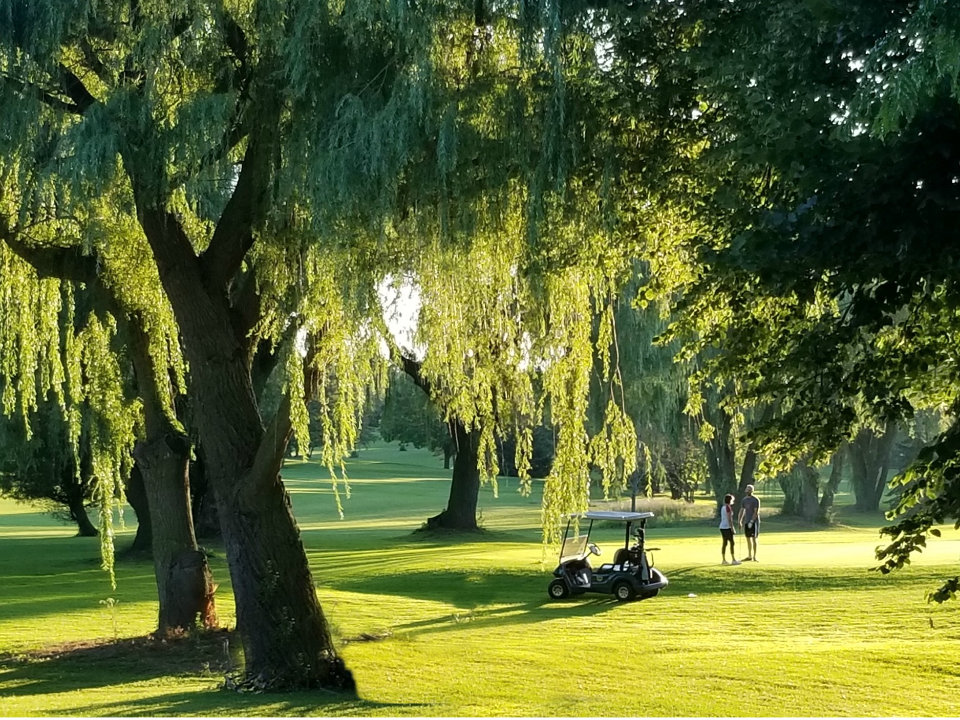 Evergreen Golf Course Travel Wisconsin